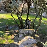 Avec Piscine - 5 Min D'avignon Villa