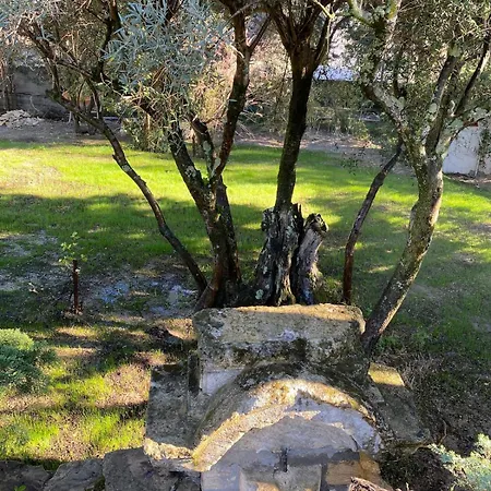 Avec Piscine - 5 Min D'avignon Villa
